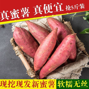 现挖新鲜山东蜜薯无丝糖心烤地瓜
