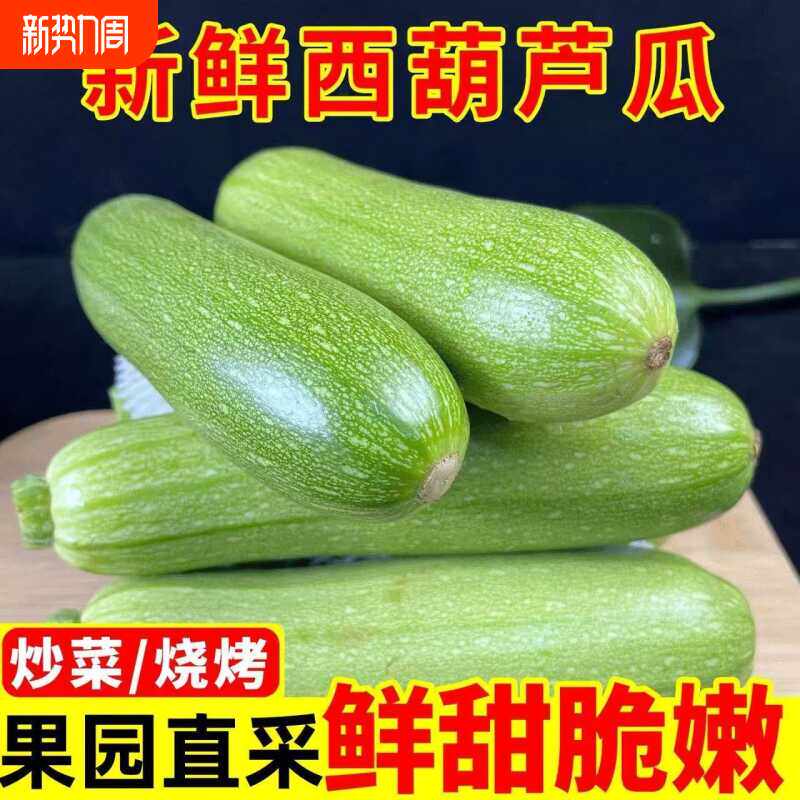 山东西葫芦农家自种新鲜蔬菜现摘生瓜小瓜番瓜倭茭瓜整箱西葫芦瓜