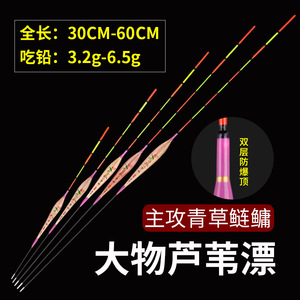 大物芦苇漂加固防爆大目距芦苇鱼漂加粗醒目尾黑坑水库鲤鱼青草漂