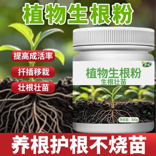 家庭园艺生根粉植物通用养根护根育苗生根移栽扦插专用水溶肥肥料