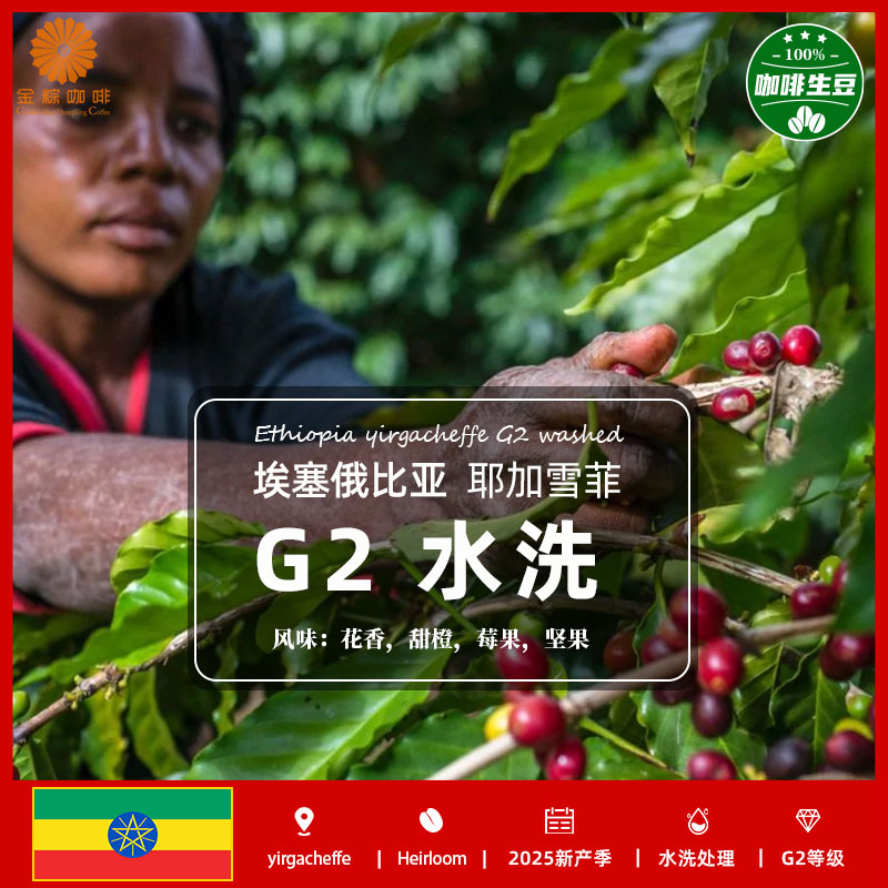 埃塞俄比亚进口耶加雪菲G2水洗咖啡生豆2025新产季意式拼配美式