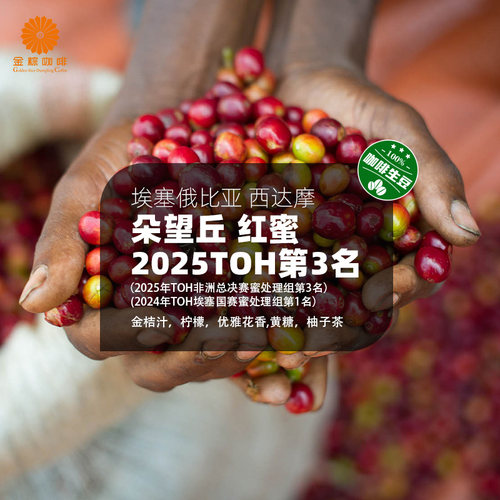 埃塞俄比亚西达摩朵望丘红蜜2025TOH第3名精品咖啡生豆2025产季