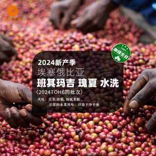 2024新产季埃塞俄比亚进口班其玛吉瑰夏G1水洗精品咖啡生豆