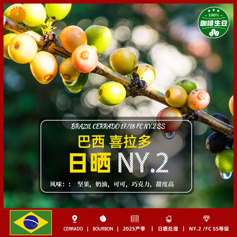 金粽1kg巴西进口喜配咖啡生豆