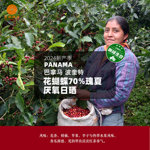 巴拿马进口波奎特花蝴蝶70%瑰夏厌氧日晒精品咖啡生豆2024新产季