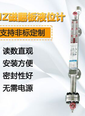 侧装DN50-BQC-A10带4-20mA输出PP材质防腐耐温耐压顶装侧装带远传