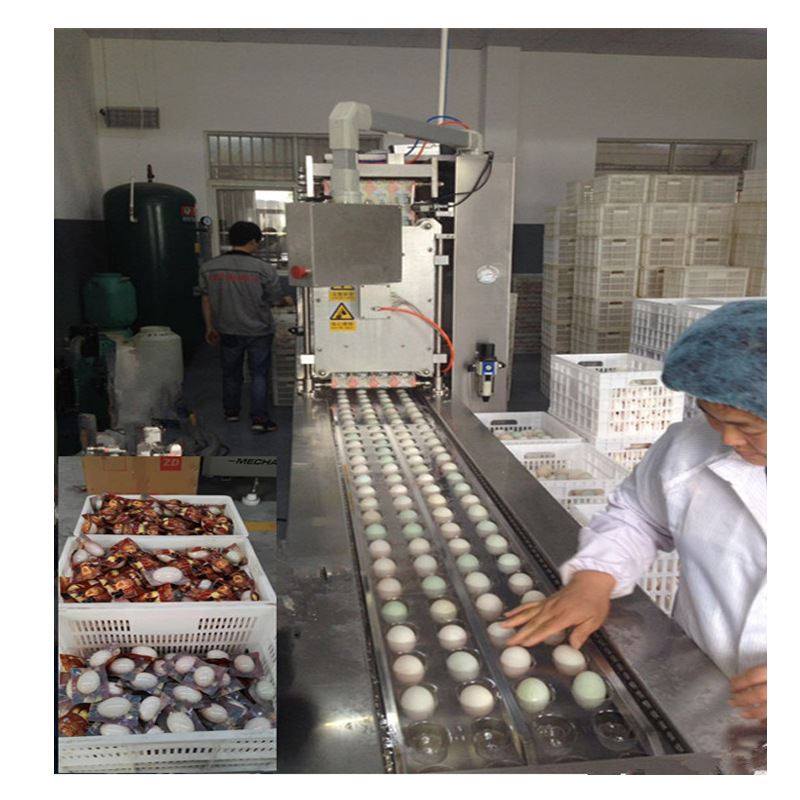 康贝特咸鸭蛋拉伸膜真空包装机 全自动咸鸭蛋真空封口机