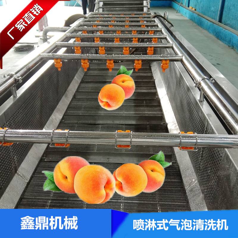 炎陵黄桃连续清洗机 全自动气泡式叶类蔬菜清洗机 果蔬清洗设备