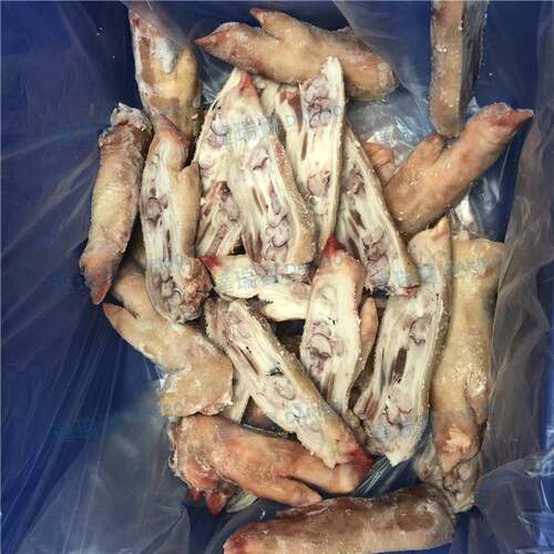 *不锈钢高速锯骨机 多功能锯冻肉排骨 商用电动切割机 冻鱼切割