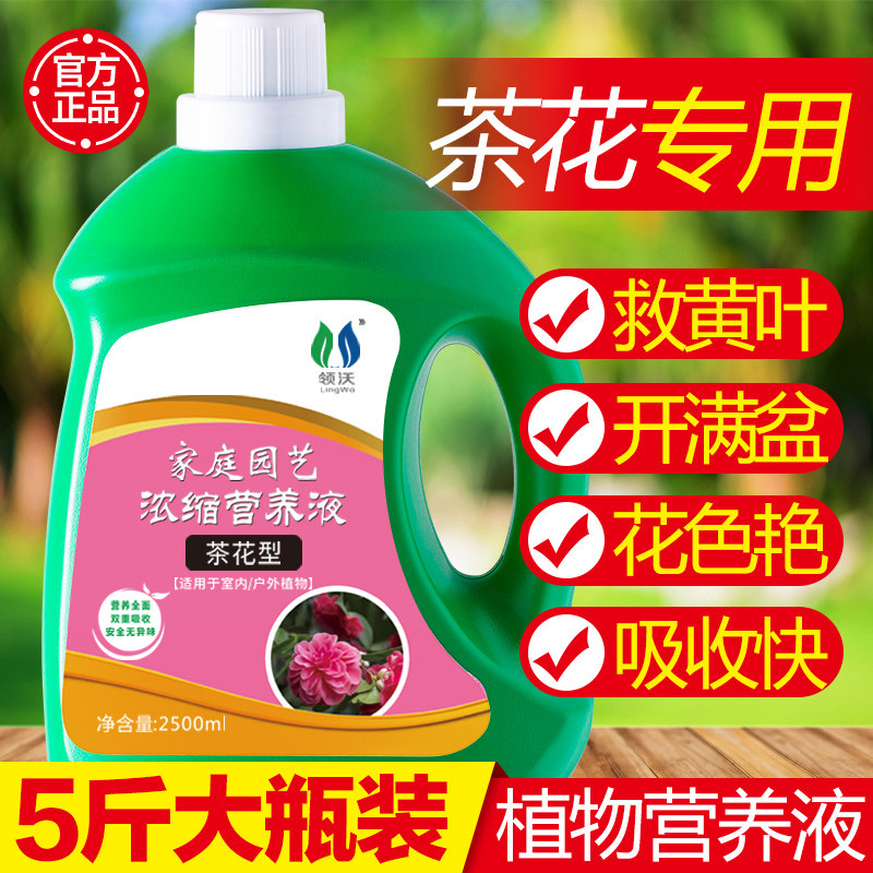 茶花专用肥料肥喜酸植物营养液山茶花杜鹃茉莉促开花家用盆栽植物