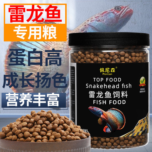雷龙鱼饲料黄金眼镜蛇七彩虹