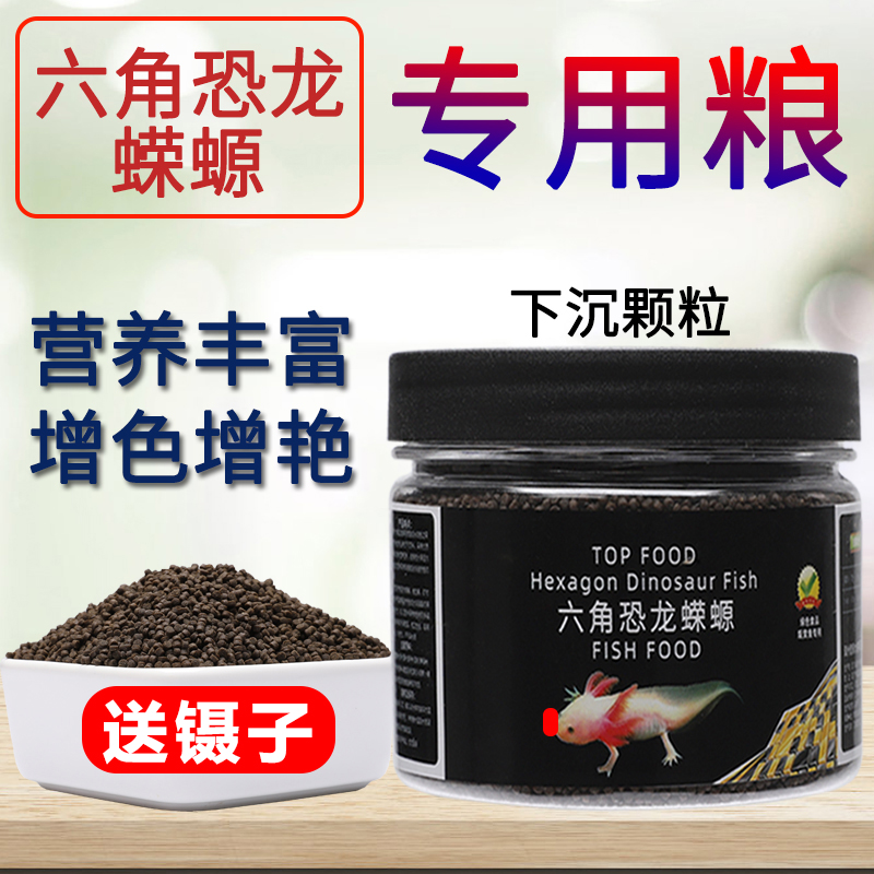 鱼食六角恐龙鱼饲料六角龙娃娃鱼东方蝾螈六六下沉底栖鱼专用鱼粮