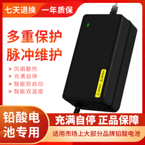 正品电动车电瓶充电器48V12A60V20AH72V新日爱玛雅迪台铃小刀通用