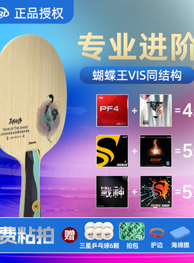 世奥得乒乓球拍底板VIS结构灵蛇献瑞乒乓底板外置碳素纤维送拍套