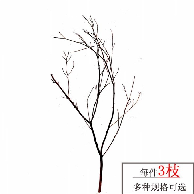 新品干树枝装饰枯枝干枝插花禅意艺术原木树枝摆件