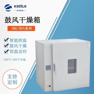 苏州电热恒温鼓风干燥箱烘培灭菌烤箱洁净烘箱油漆烘干