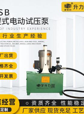 厂家销售手提式电动试压泵3DSB打压机测试泵试压机打压泵