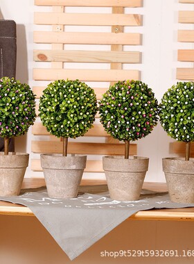 家居仿真绿植摆件草球盆栽装饰室内圆球植物创意盆景电商厂家