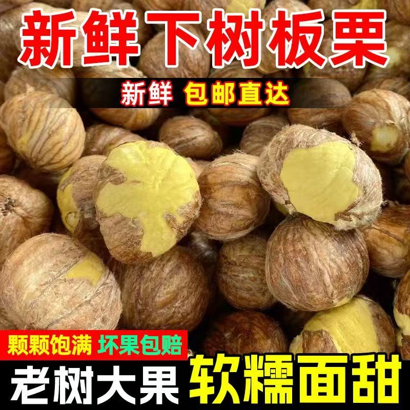 25年新鲜板栗仁油栗仁手工剥壳现剥现发正宗高山老树板栗粉糯香甜