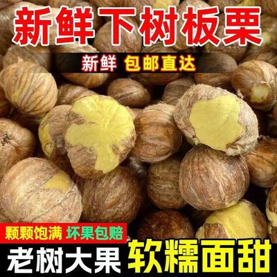 25年新鲜板栗仁油栗仁手工剥壳