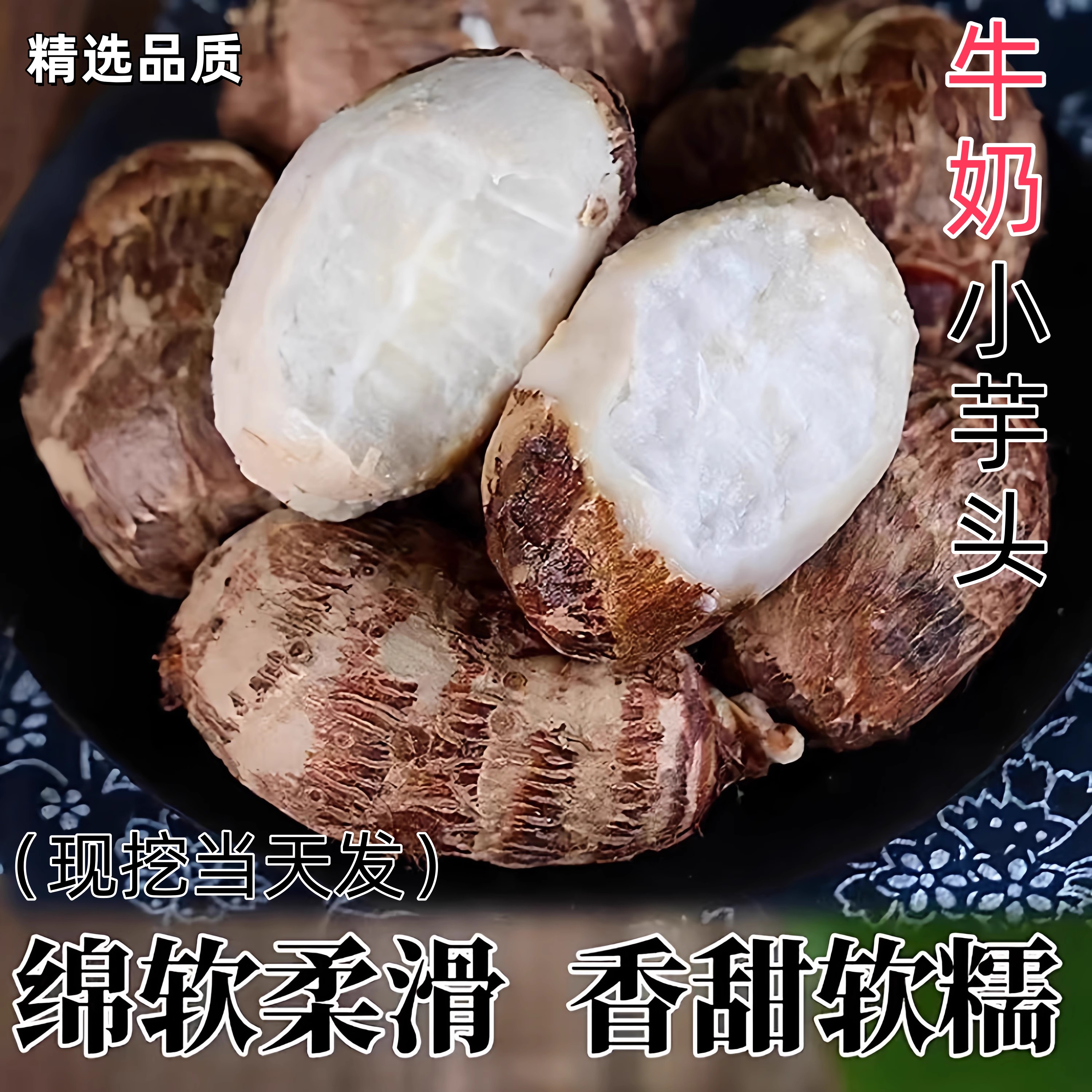 【热卖推荐】山东牛奶小芋头