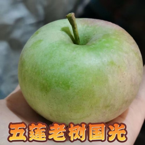 山东国光绿色酸甜脆新鲜水果