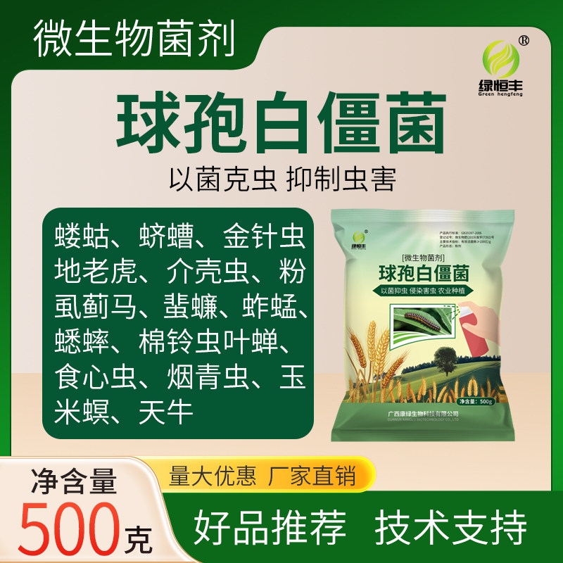 绿恒丰球孢白僵菌菜青虫天牛松毛虫蛴螬僵蚕微生物菌农业专用