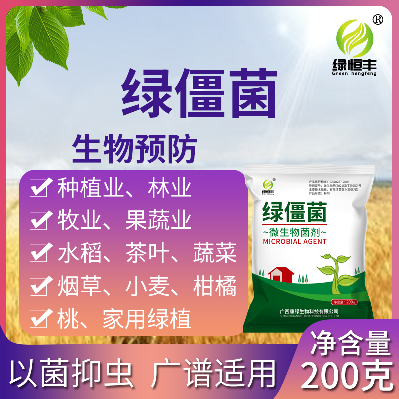 微生物菌绿僵菌寄生侵染虫体交替传染金龟子蛴螬地老虎蝼蛄