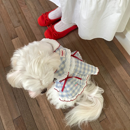 复古格纹宠物衣服小型犬猫咪衣服可爱公主连衣裙蝴蝶结比熊泰迪