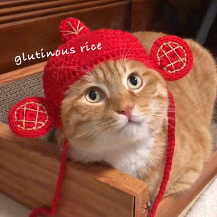 宠物新年财神帽子猫咪狗狗过年拜年头饰围巾喜庆拜年围脖项圈可爱