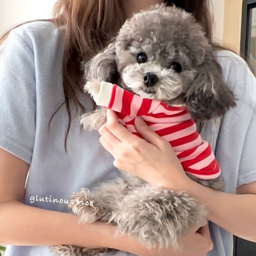 宠物狗狗衣服夏季薄款条纹衫