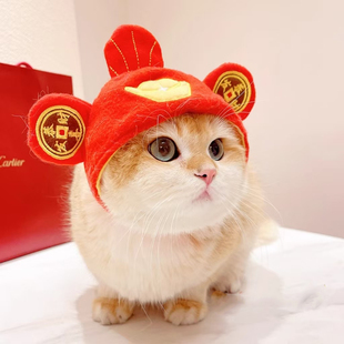 宠物小狗狗泰迪比熊雪纳瑞小型犬财神喜庆猫头套帽子新年可爱头饰