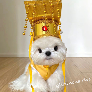 狗狗帽子可爱搞怪皇帝宫廷创意头套小型犬宠物猫咪秦始皇cos拍照