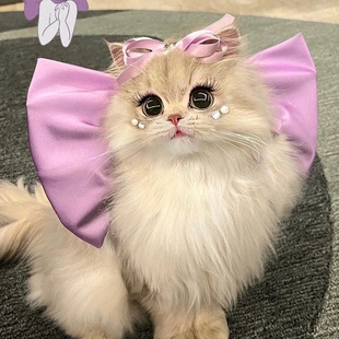 玛丽猫蝴蝶结汤姆的梦中情猫造型项圈猫咪围脖挂饰脖圈美女猫领结
