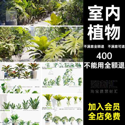 室内植物园林景观max绿植模型工程素材格式CR盆栽渲染文件格式