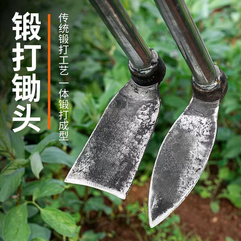 锻打手工大号锄头农用带柄虫草镢头加厚农具树草种菜挖笋松土