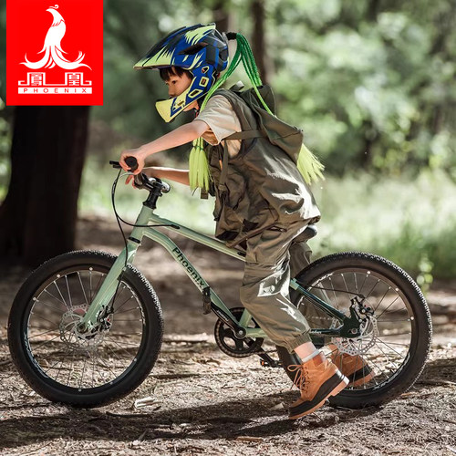 凤凰高碳钢儿童山地车双碟刹