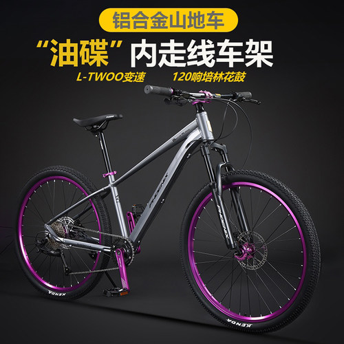 变色车架铝合金山地车凤凰竞速