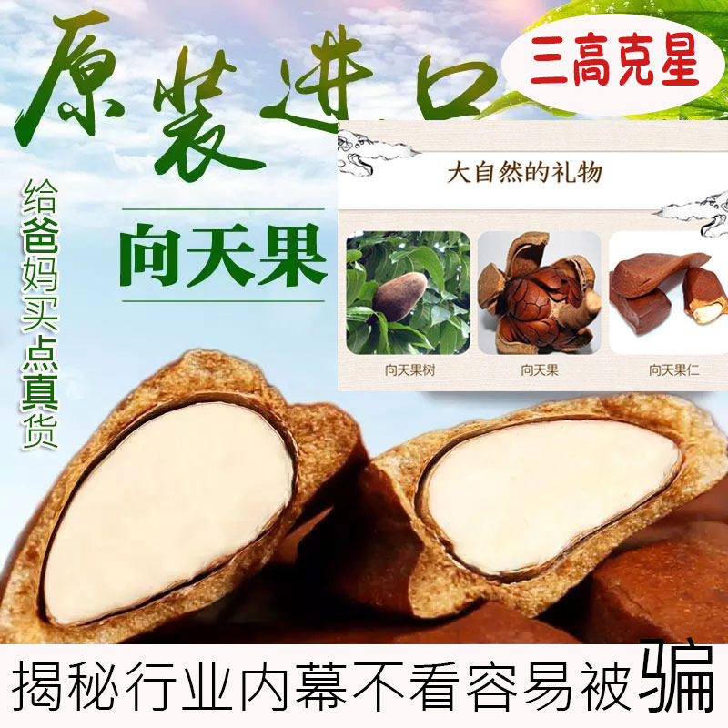 所罗门原珍向天果野生特级正品包邮500g克纯天然大果仁一斤进口