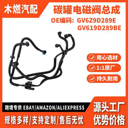 适用国产锐界 2.0T 16款 碳罐电磁阀总成带管 F2G39D289BA