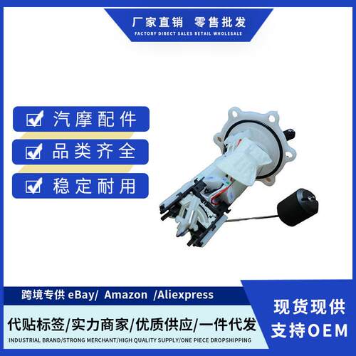 跨境 电动燃油泵总成适用Bajaj Dominar 400 JF171811