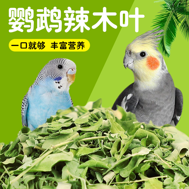 鹦鹉辣木叶鹦鹉奖励零食