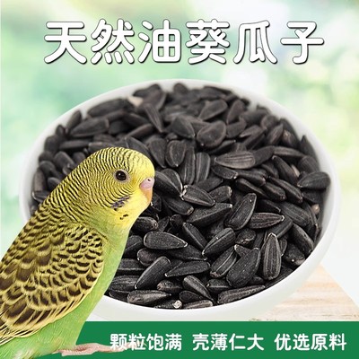 鹦鹉黑瓜子零食鸟粮珍珠虎皮油葵瓜子训练用品鸟饲料八哥仓鼠瓜子