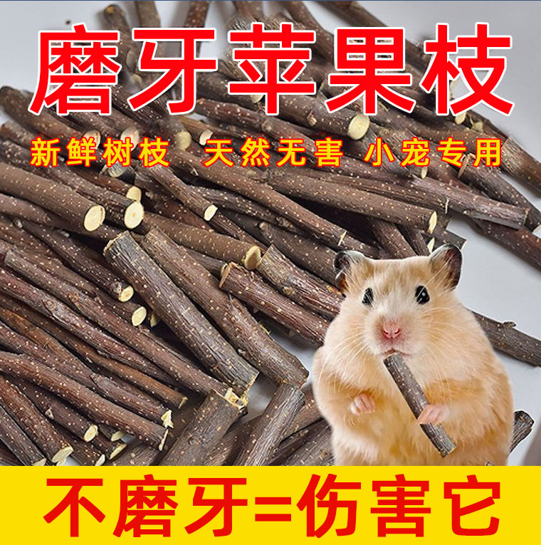 仓鼠磨牙棒苹果枝零食