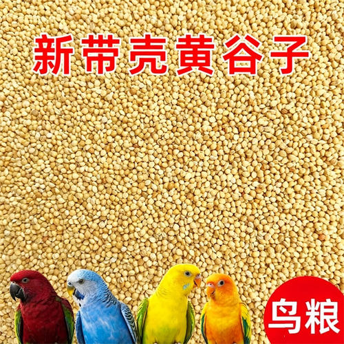 黄谷子带壳小米鹦鹉通用鸟粮