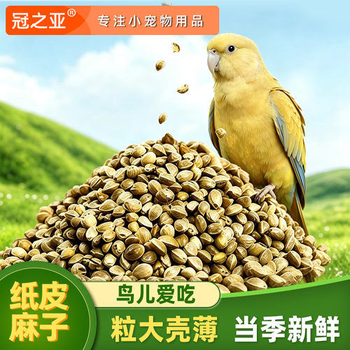 鹦鹉纸壳麻子大颗粒适口性佳