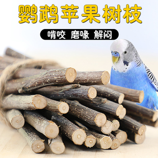 鹦鹉磨牙棒啃咬玩具小太阳鸟解闷自嗨苹果木枝磨嘴器磨喙神器用品