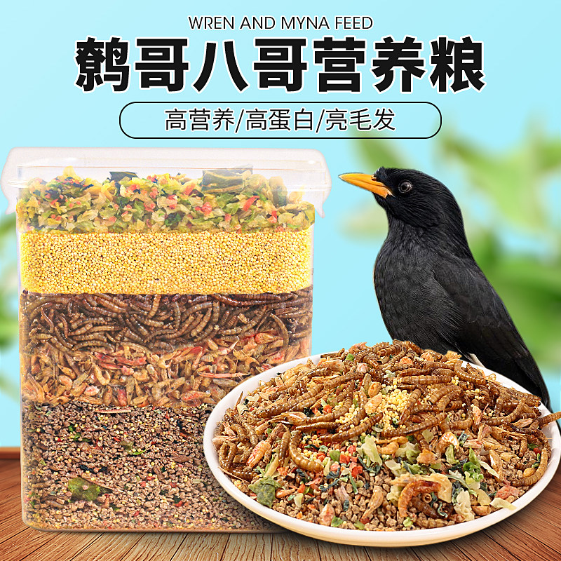 八哥鹩哥饲料鸟粮饲料营养鹩哥鸟食海八黑八专用鸟粮粮鸟料5斤装_虎窝淘