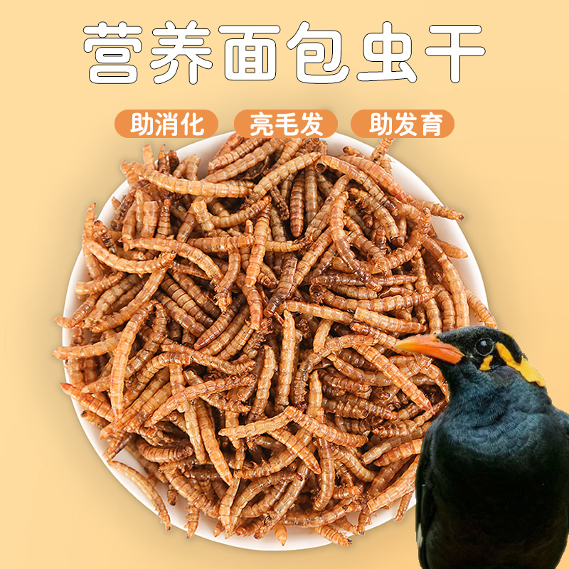 冠之亚营养八哥面虫干饲料大全