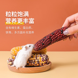 磨牙棒仓鼠玉米仓鼠磨牙零食磨牙棒兔子磨牙小玉米粮食用品仓鼠